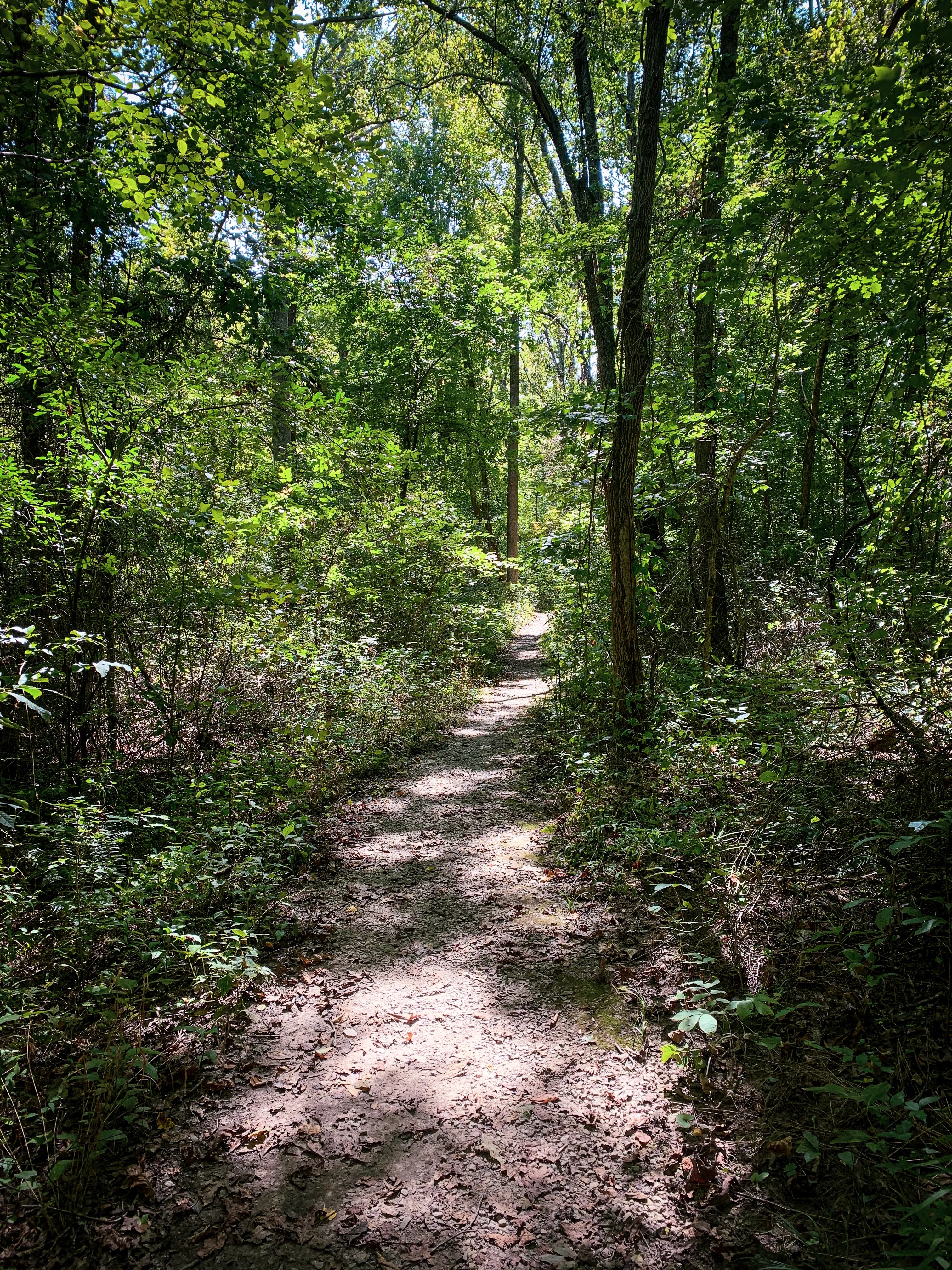 Hike Indian Creek Trail
