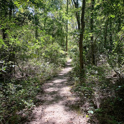 Hike Indian Creek Trail