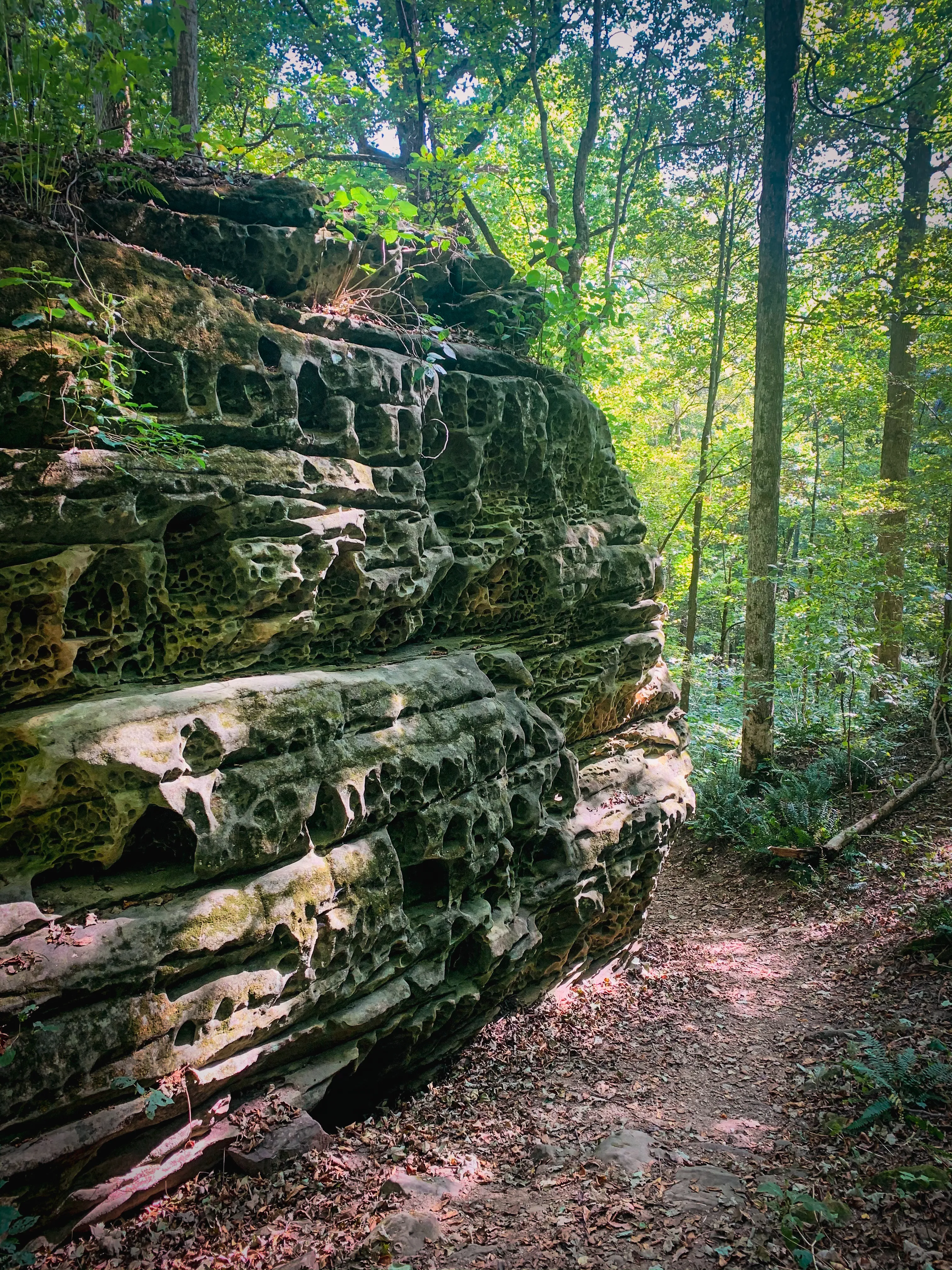 Hike to Hawk's Cave