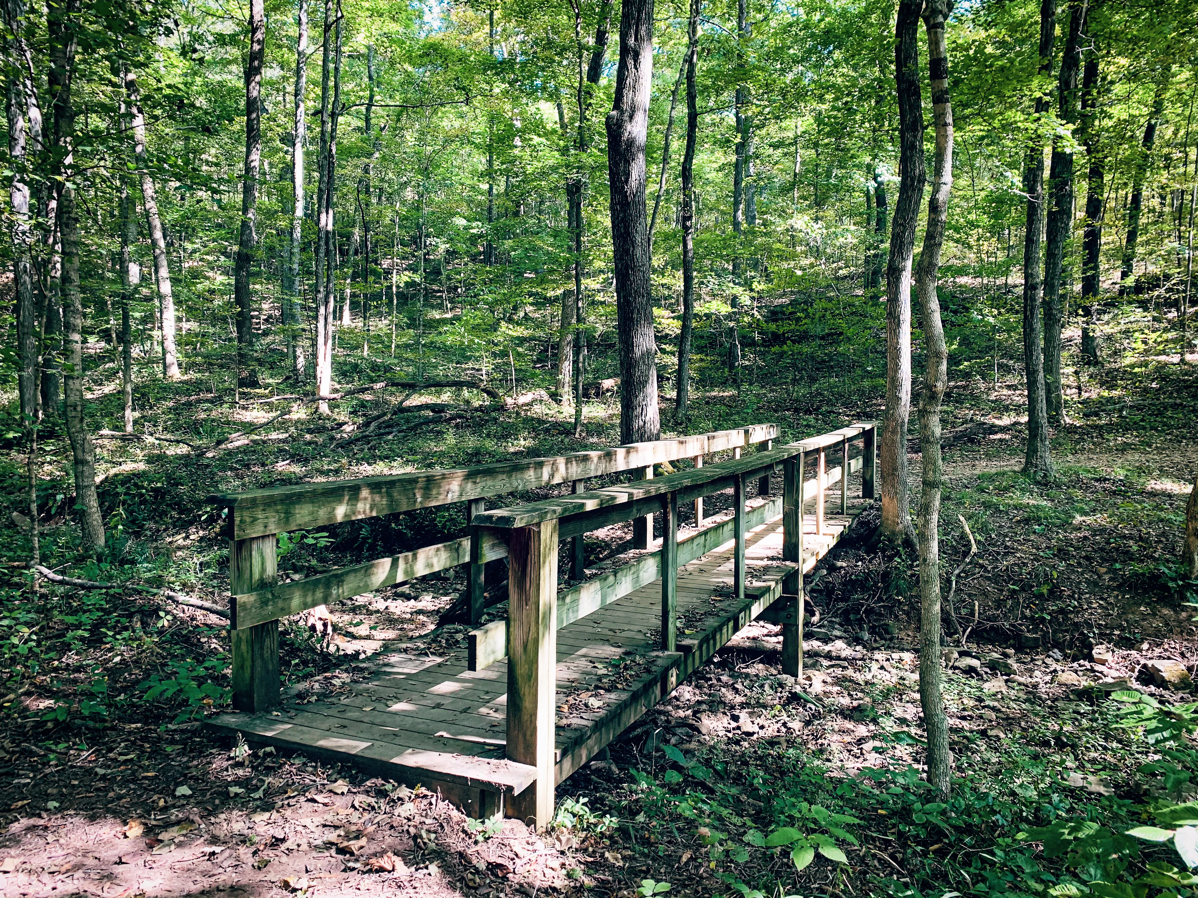 Hike to Hawk's Cave