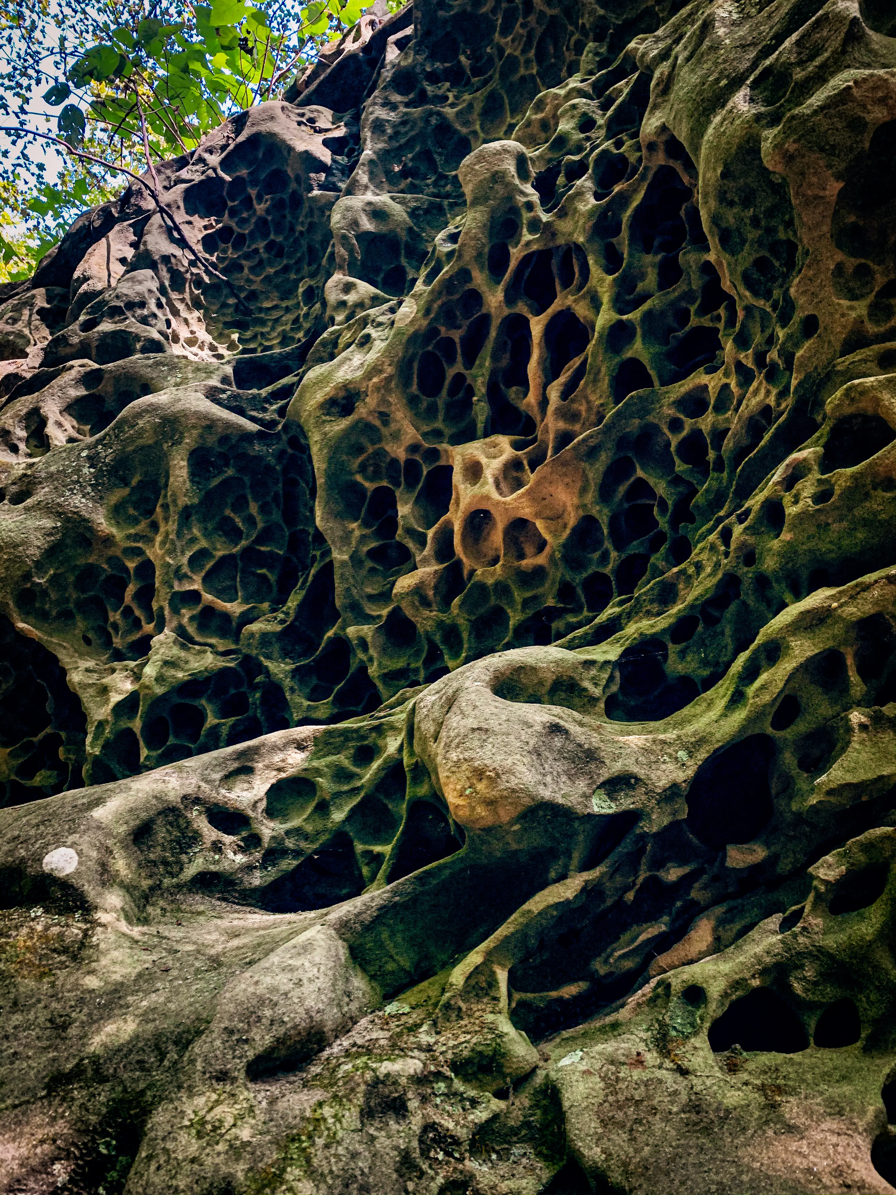Hike to Hawk's Cave