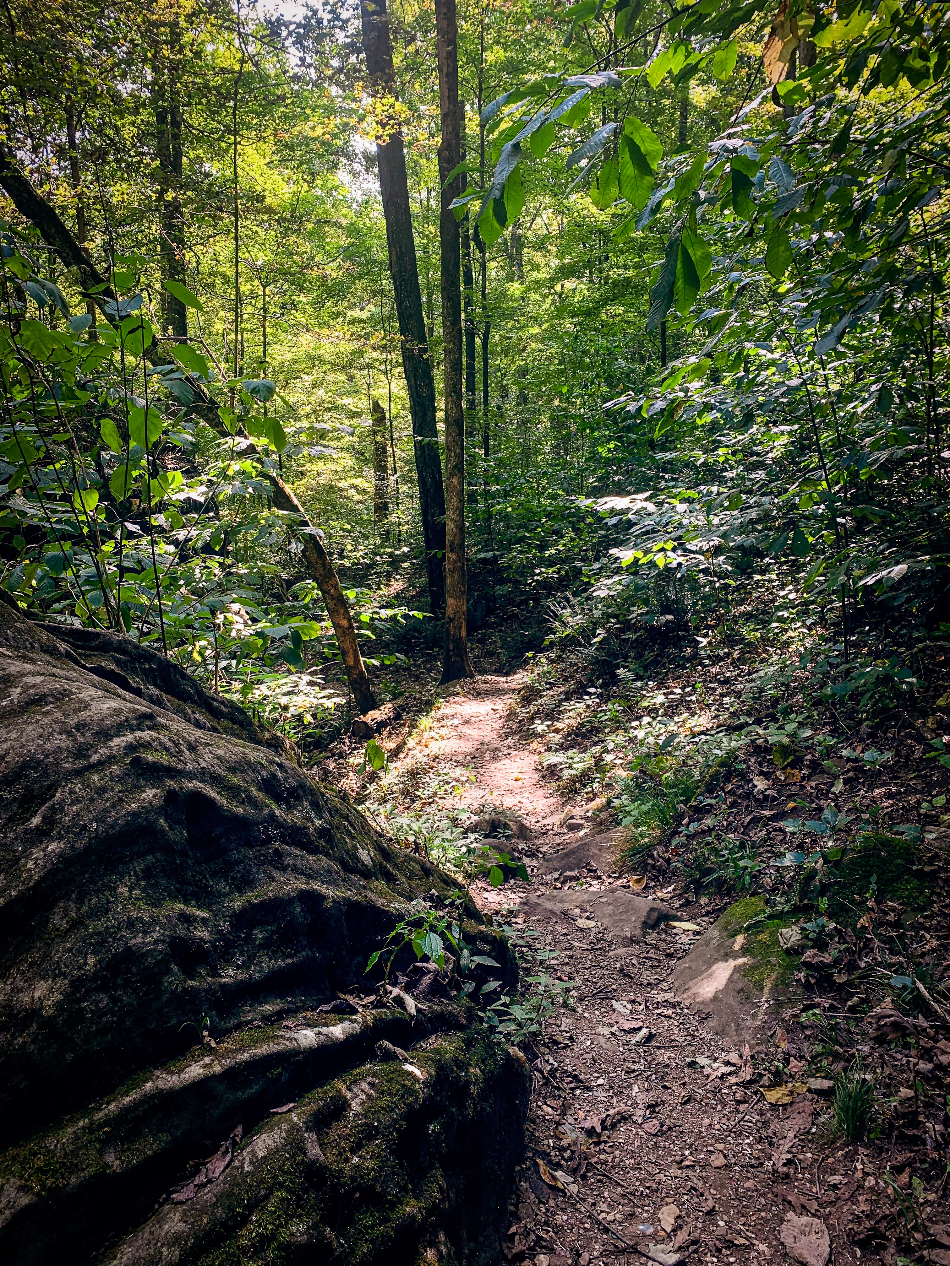 Hike to Hawk's Cave