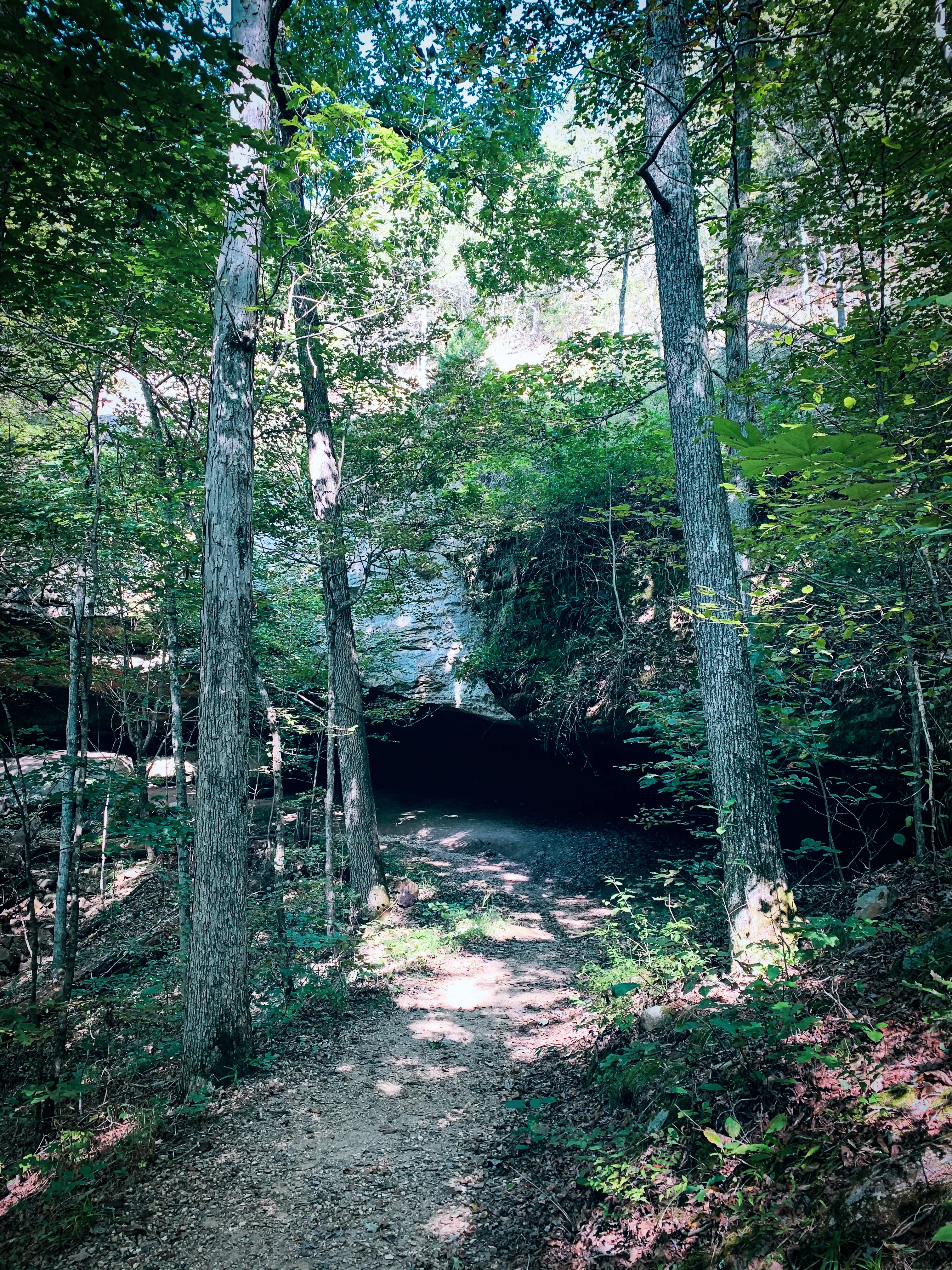 Hike to Hawk's Cave