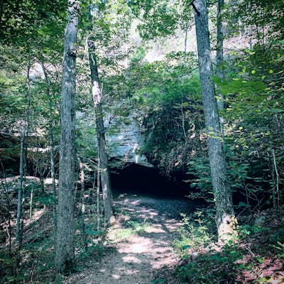 Hike to Hawk's Cave