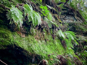 Hike the Round Bluff Nature Preserve