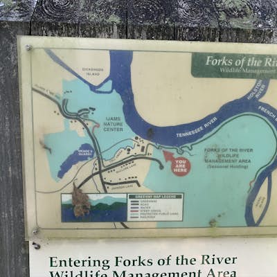 Forks of the River Wildlife Management Area
