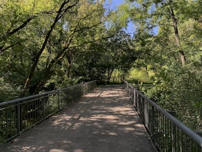 Forks of the River Wildlife Management Area