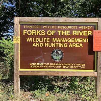 Forks of the River Wildlife Management Area