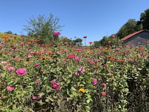 Kelly Lane Greenway