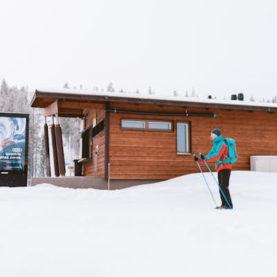 Ski to a Reindeer Farm in Kittilä