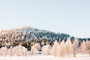 Take a Winter Stroll in Levi in Finnish Lapland