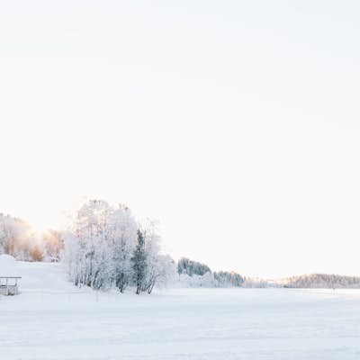Take a Winter Stroll in Levi in Finnish Lapland