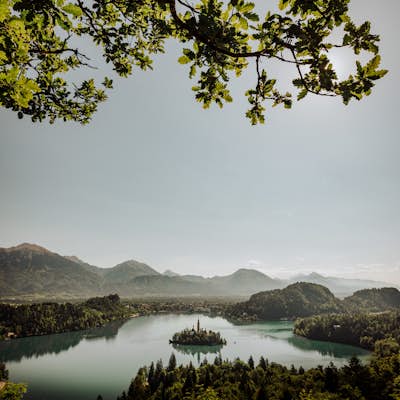 Lake Bled Bench (Ojstrica)