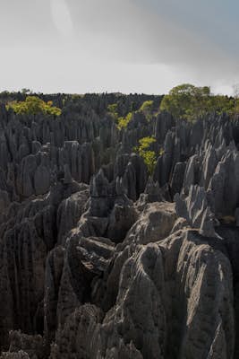 Explore The Tsingy In Madagascar