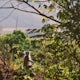 Camp among Lemurs at Tsarasoa Camp