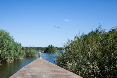 Explore the Wetlands of the Delta of Evros River