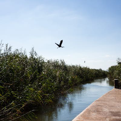 Explore the Wetlands of the Delta of Evros River