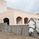 Explore the Medina of Meknes