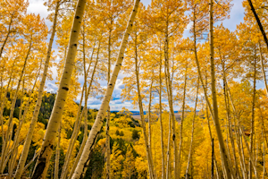 5 Great Spots in Colorado for Fall Colors