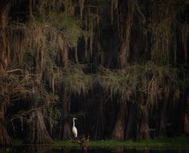 Caddo Lake State Park Canoe Trails