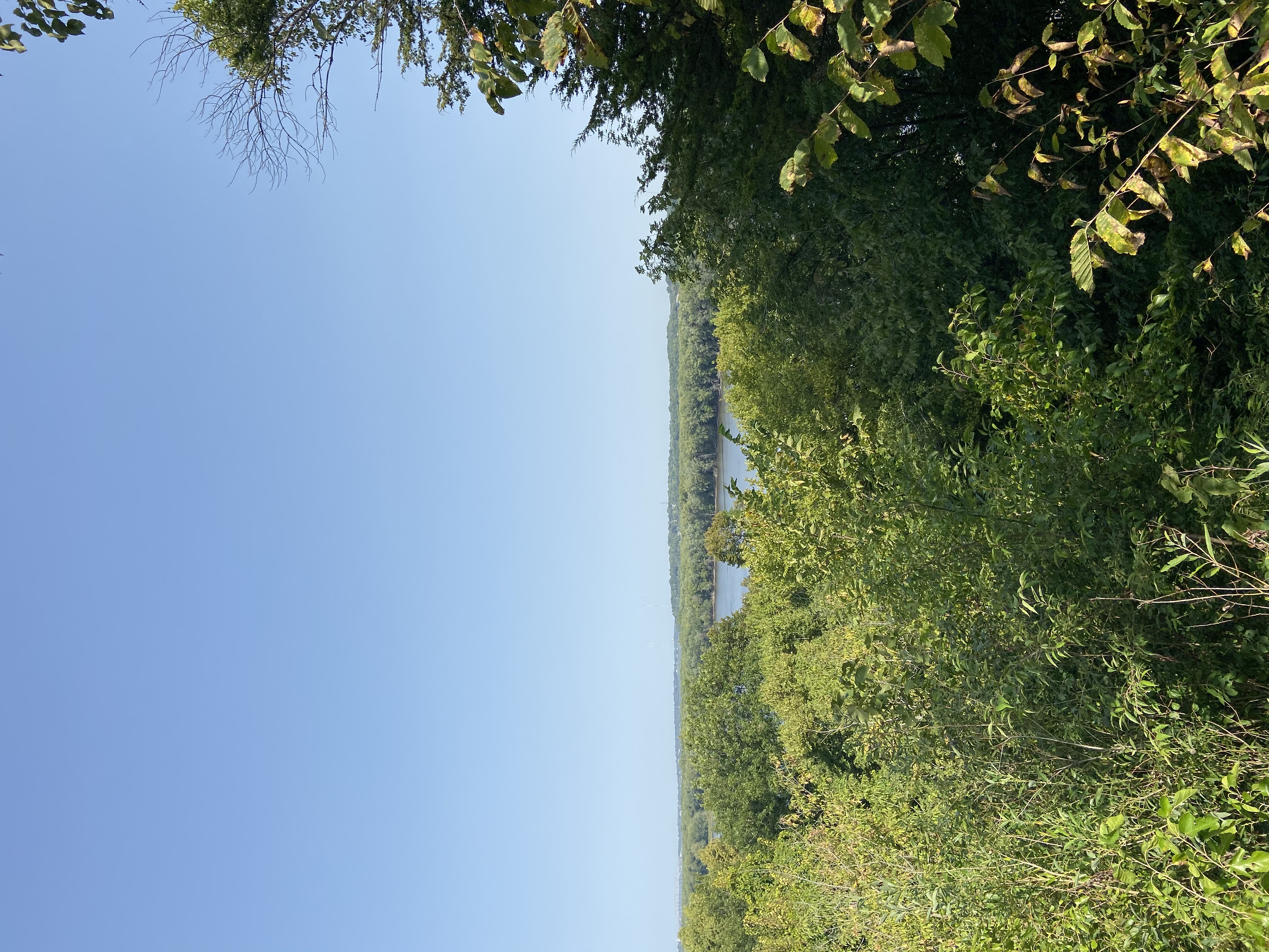 Hike the Horseshoe Bluff Trail 