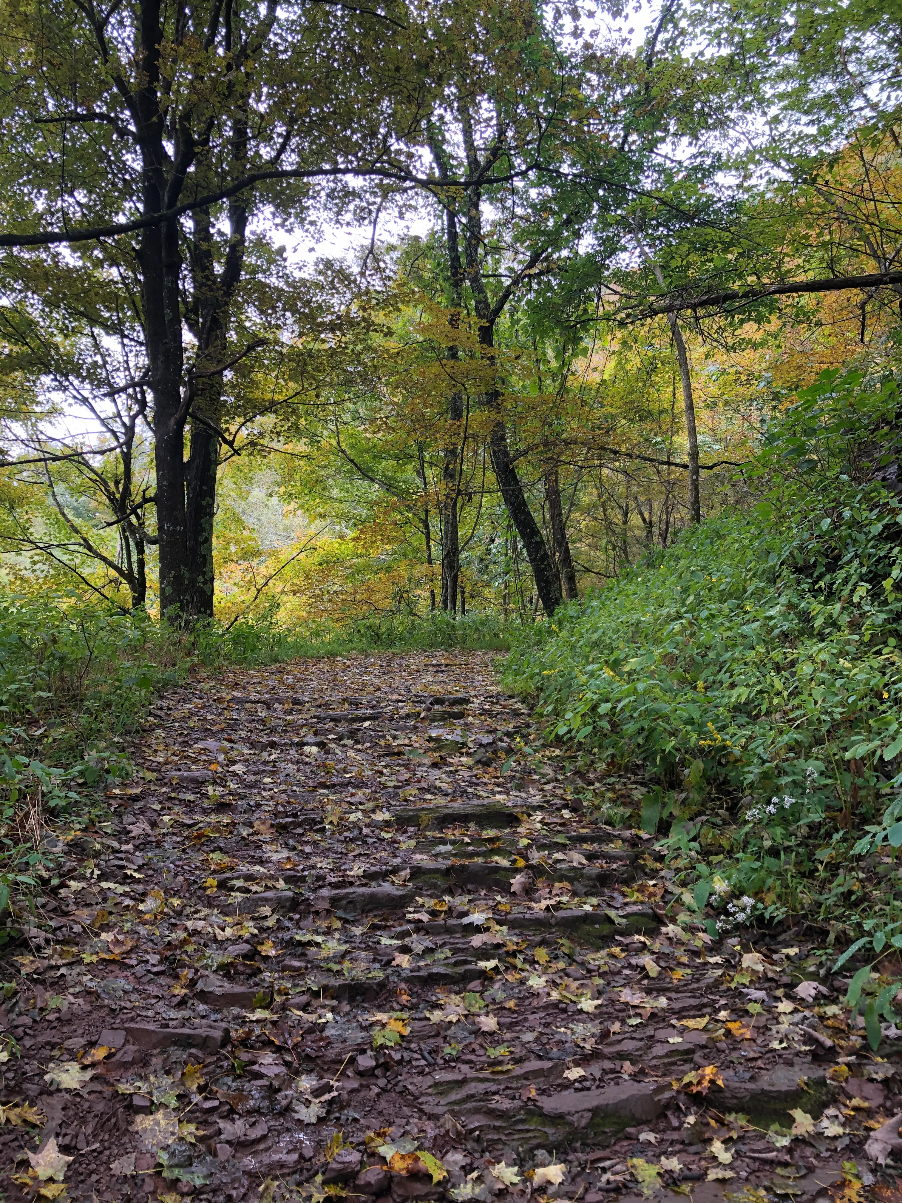The Great Channels via Hayters Gap