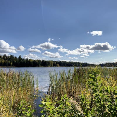 Ferguson Lake Loop