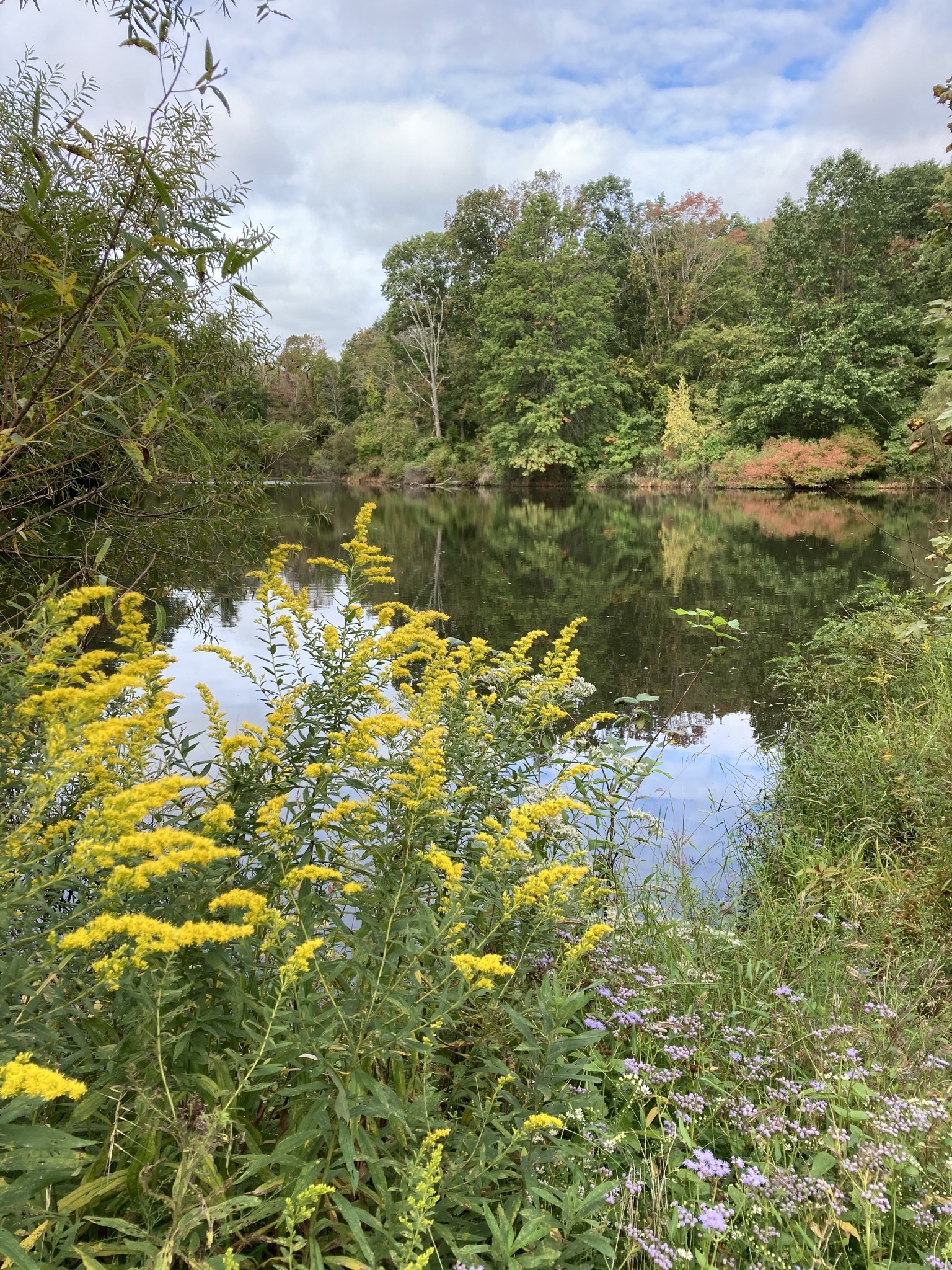 Mountain Lakes Nature Preserve Loop