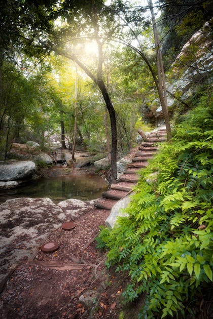 Hike the Riverplace Nature Trail, Austin, United States