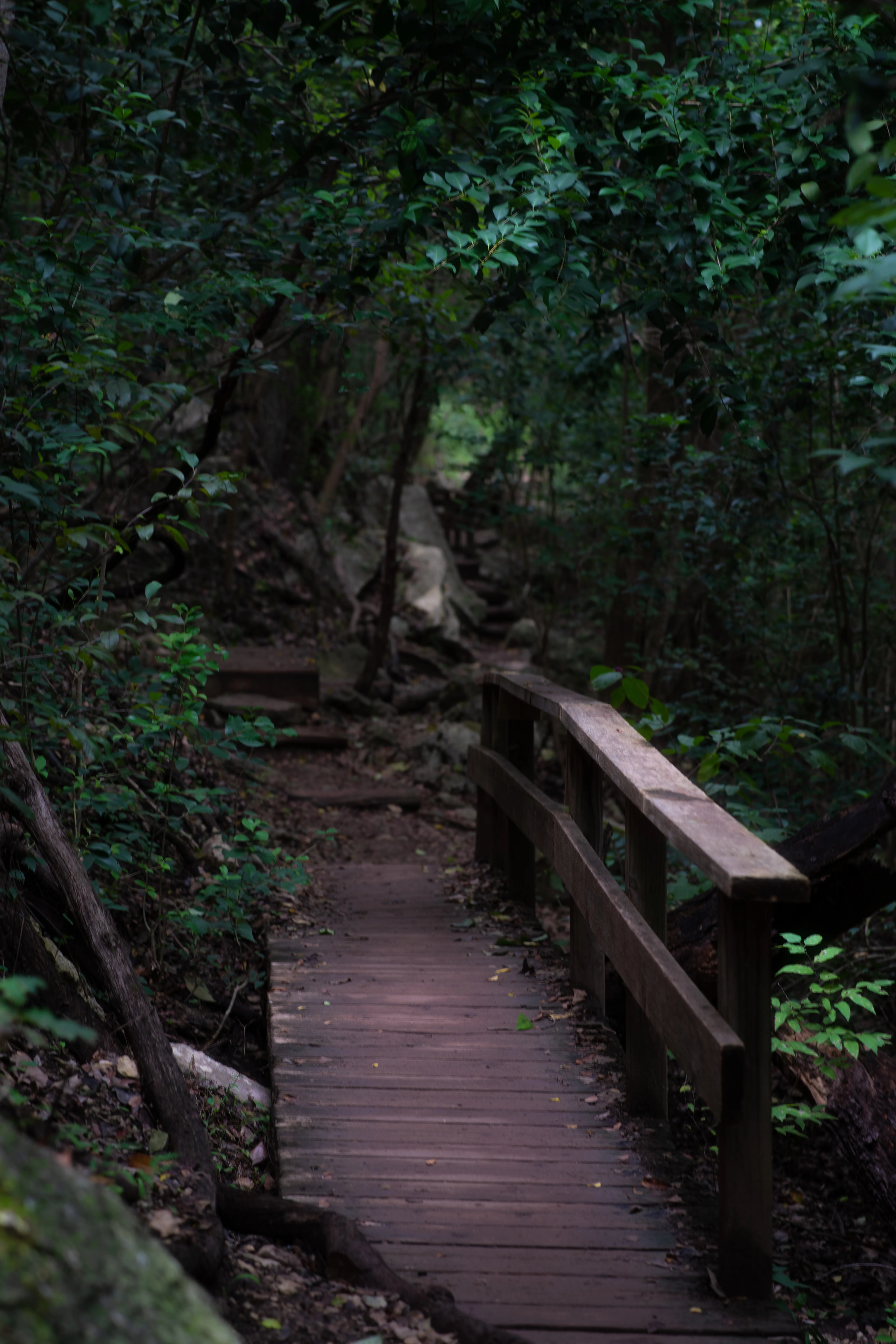 Riverplace Nature Trail