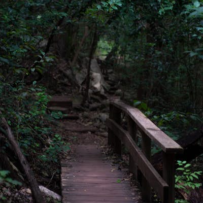 Riverplace Nature Trail
