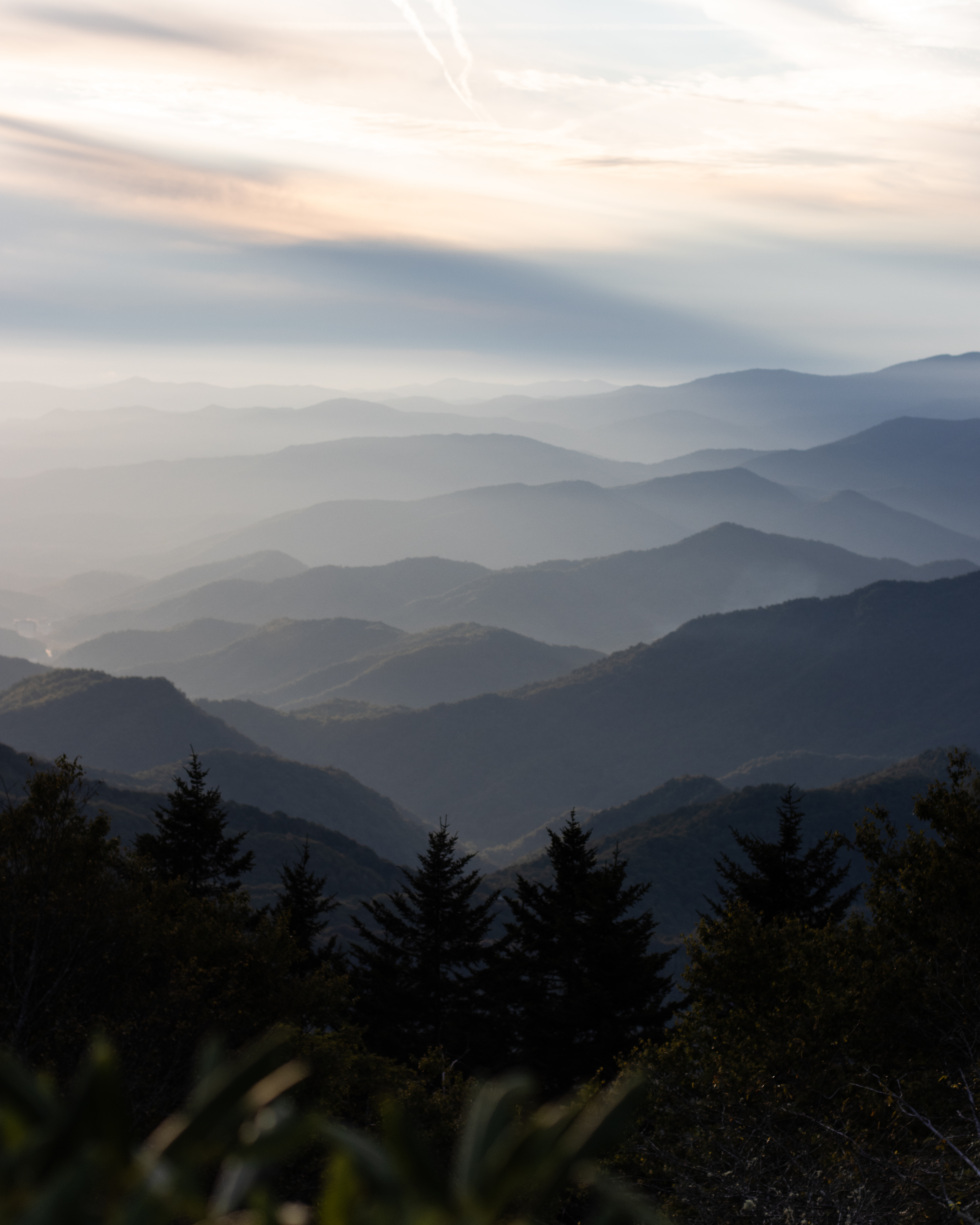 Waterrock Knob Trail