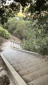 Baxter Steps