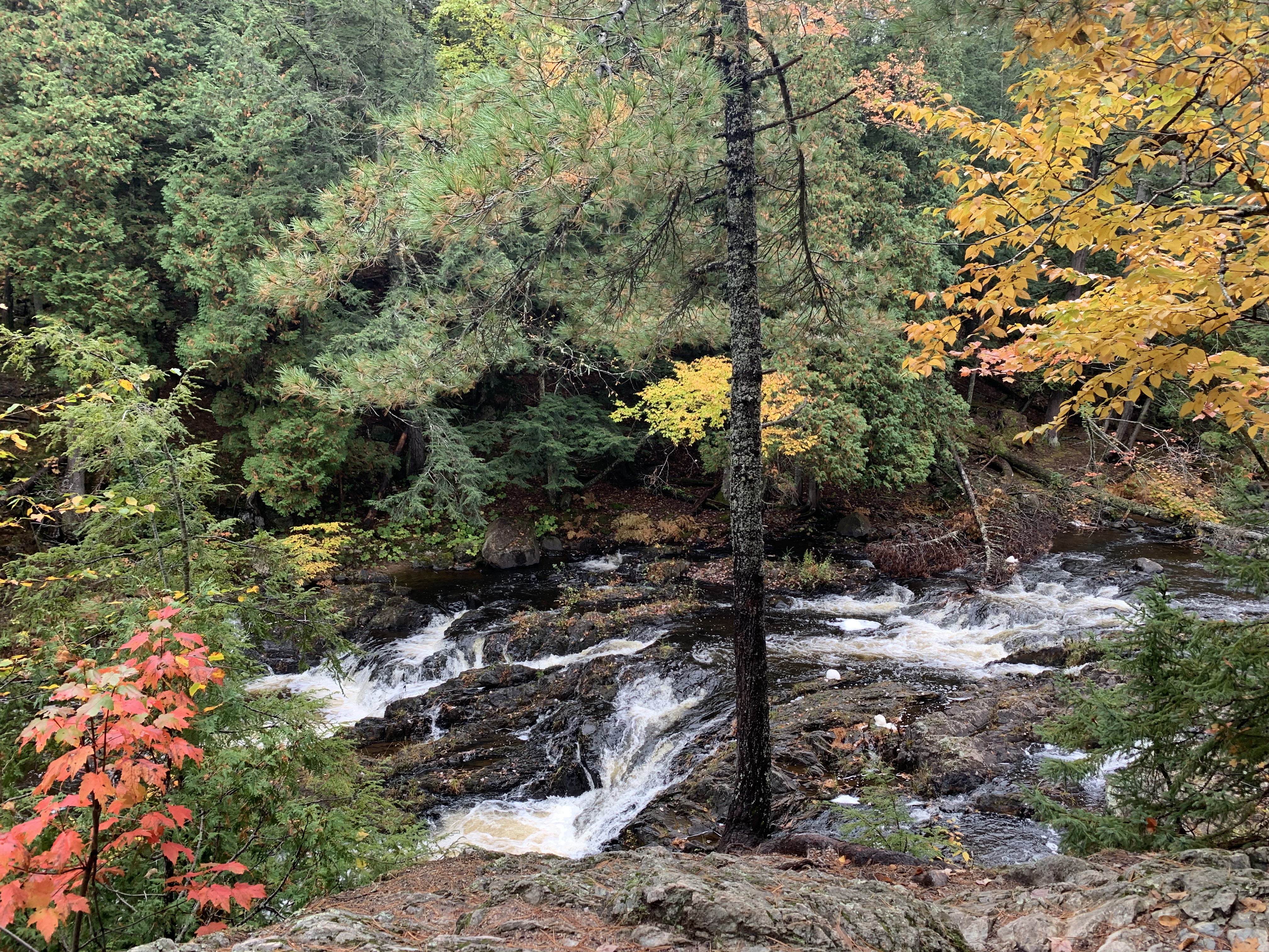 Hike to Dead River Falls