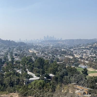 City View and Walnut Forest Trails Loop