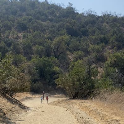 Hike the City View and Walnut Forest Trails Loop