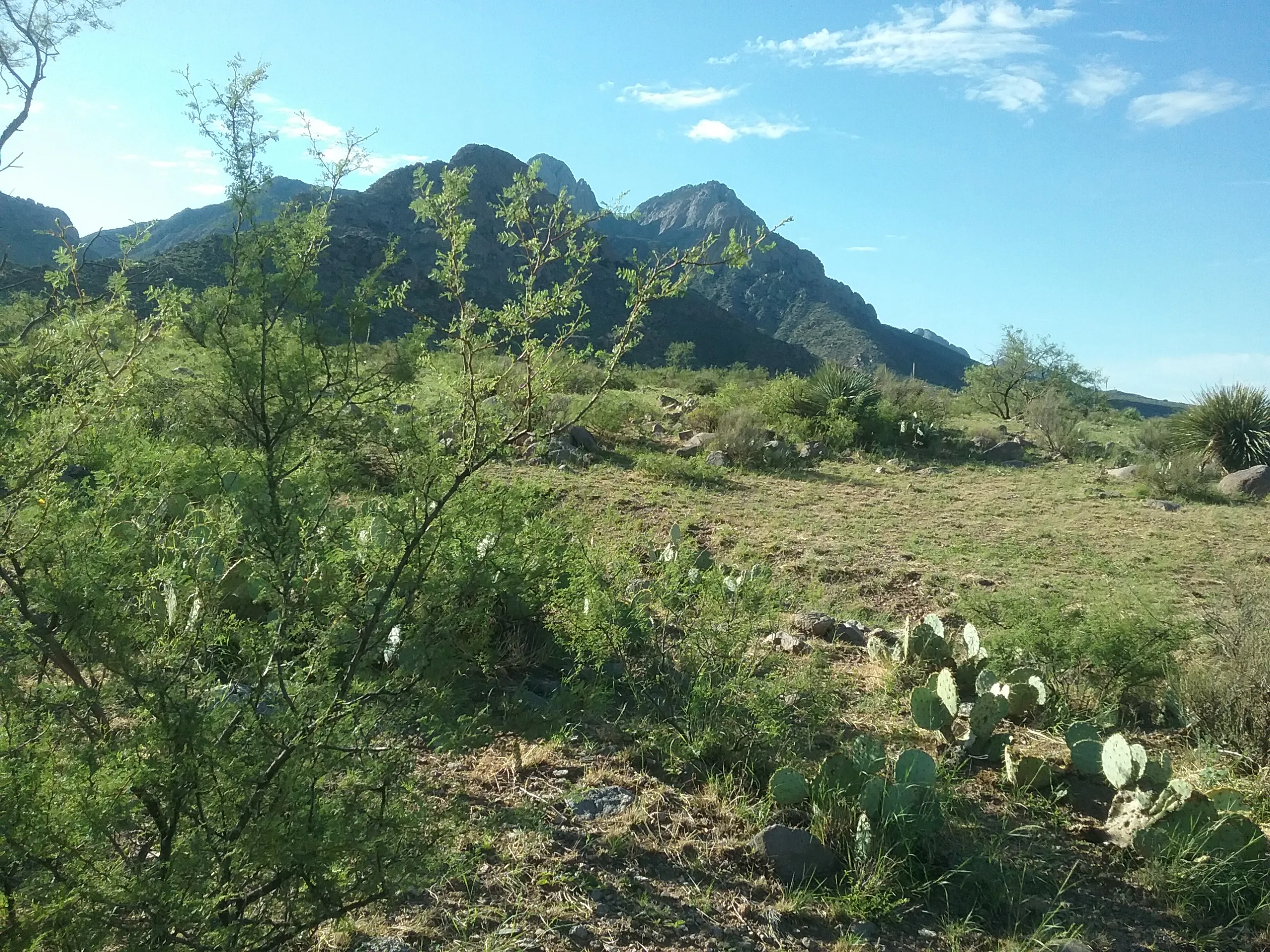 Hike the Baylor Pass Trail