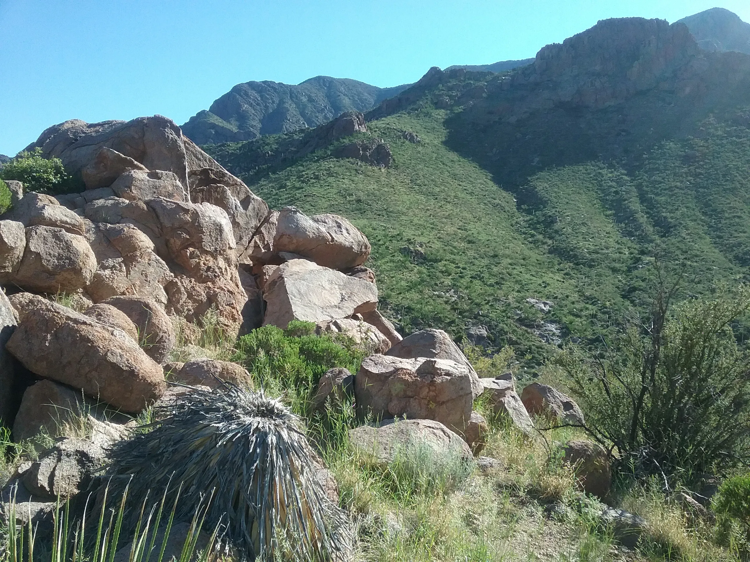 Hike the Baylor Pass Trail