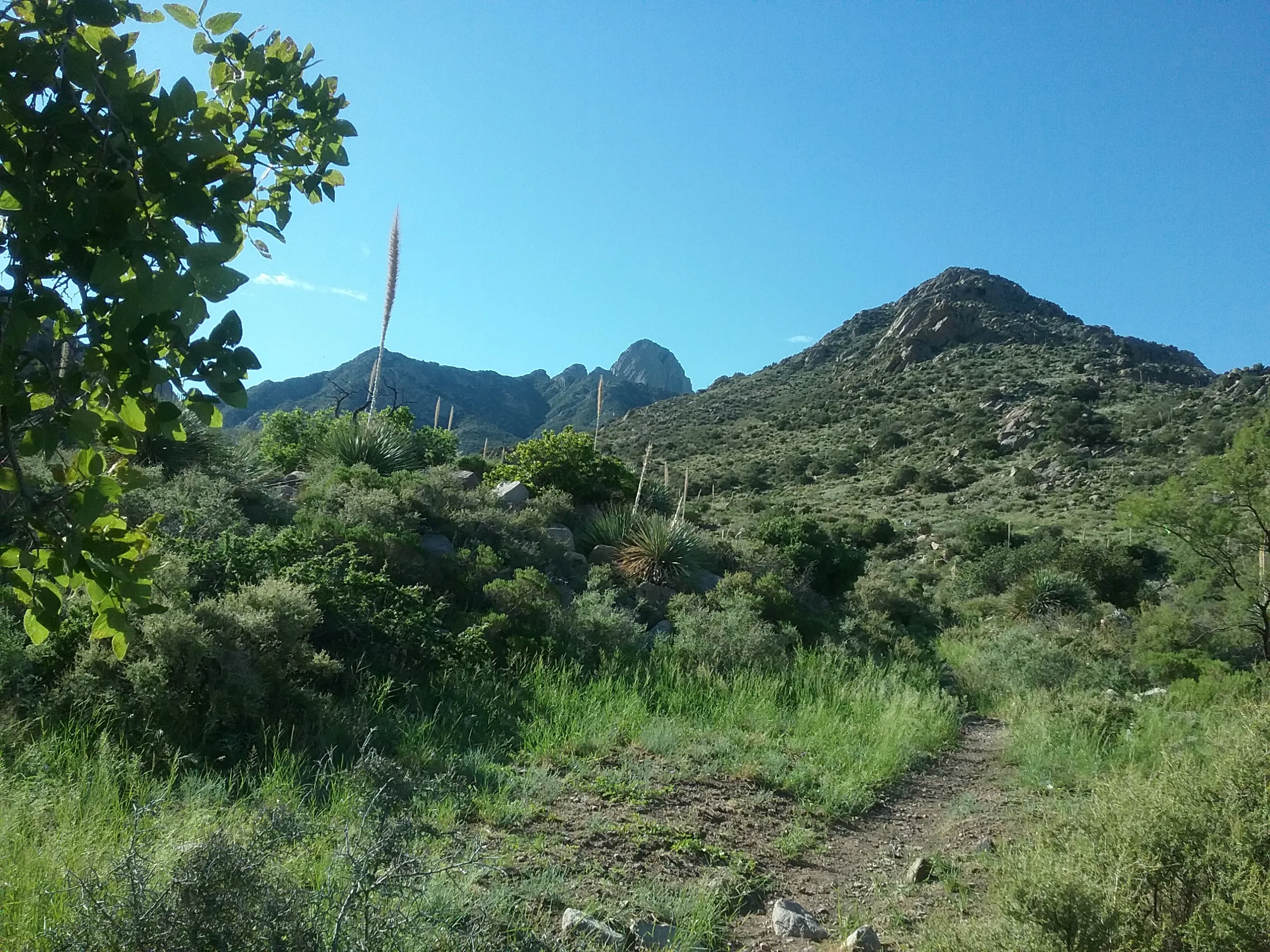 Hike the Baylor Pass Trail