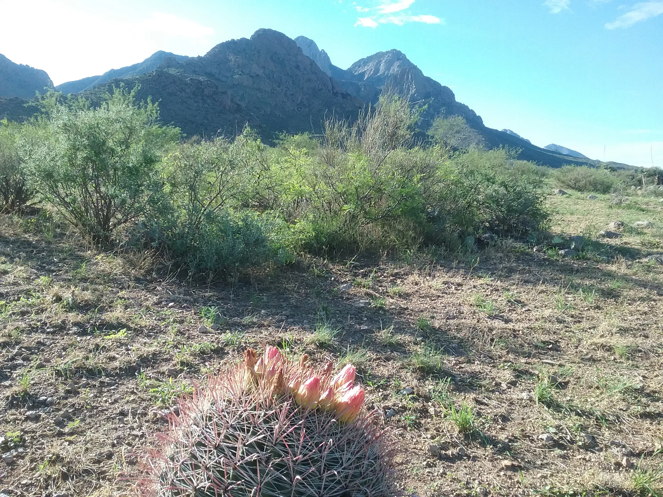 Hike the Baylor Pass Trail