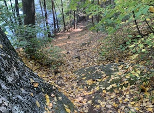 Hike Squantz Pond Trail