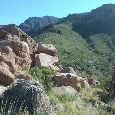 Hike the Baylor Pass West Trail