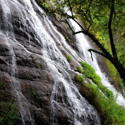 Hike through the Jungle to Viento Fresco Waterfalls