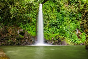 Hike through the Jungle to Viento Fresco Waterfalls