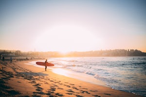 Swim with Humpback Whales on the Sunshine Coast