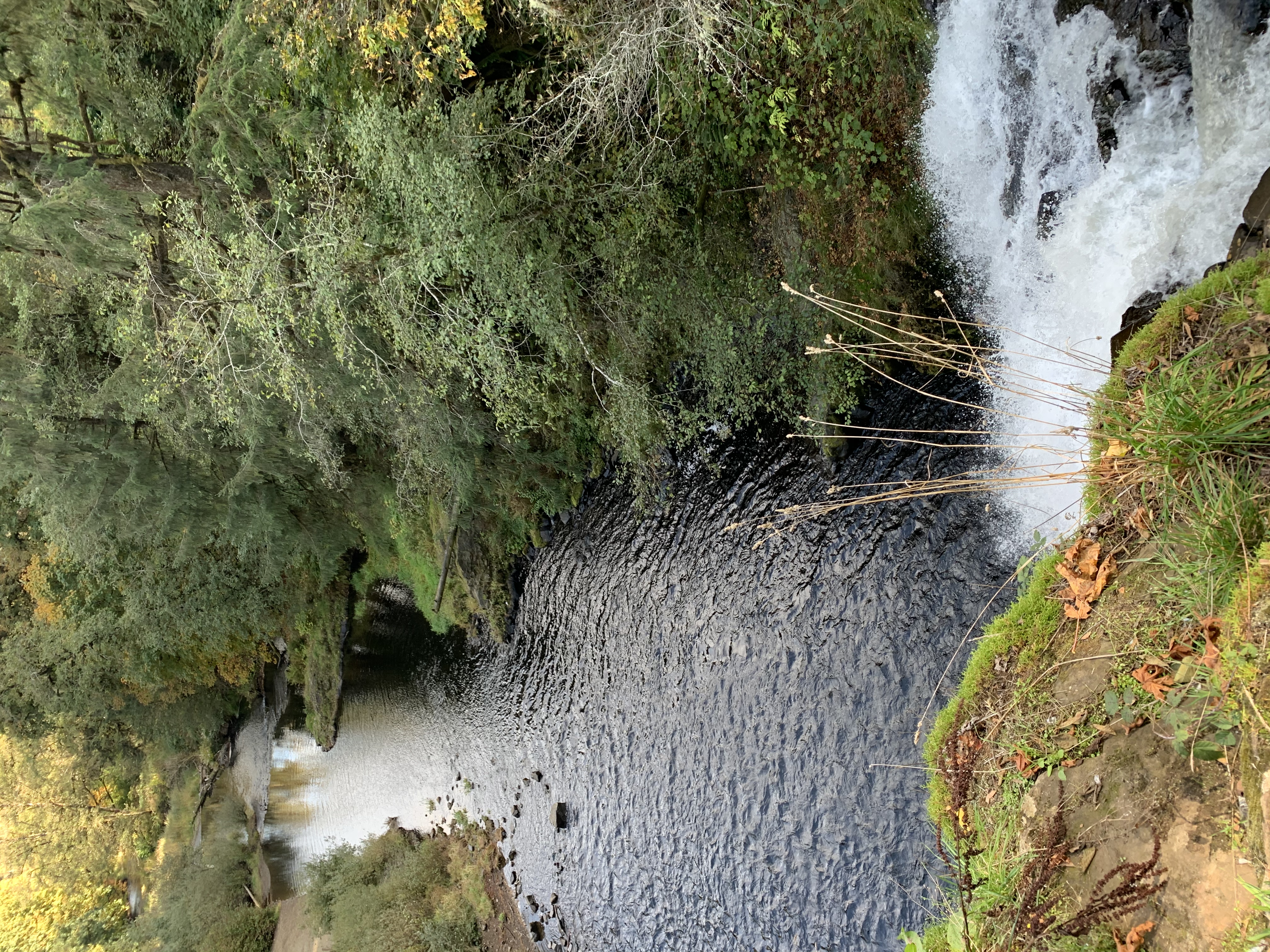 Youngs River Falls