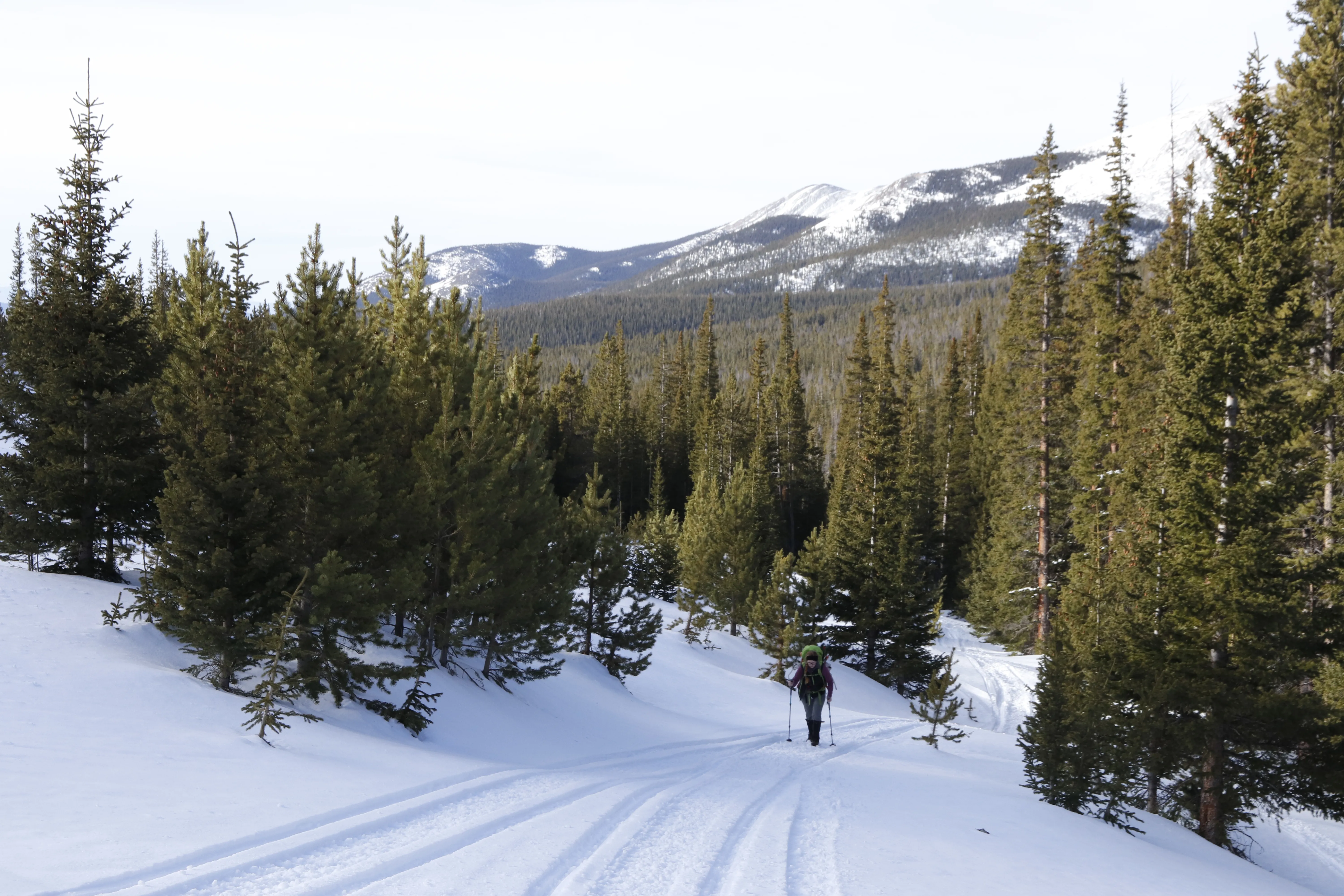 Mount Guyot Snow Climb