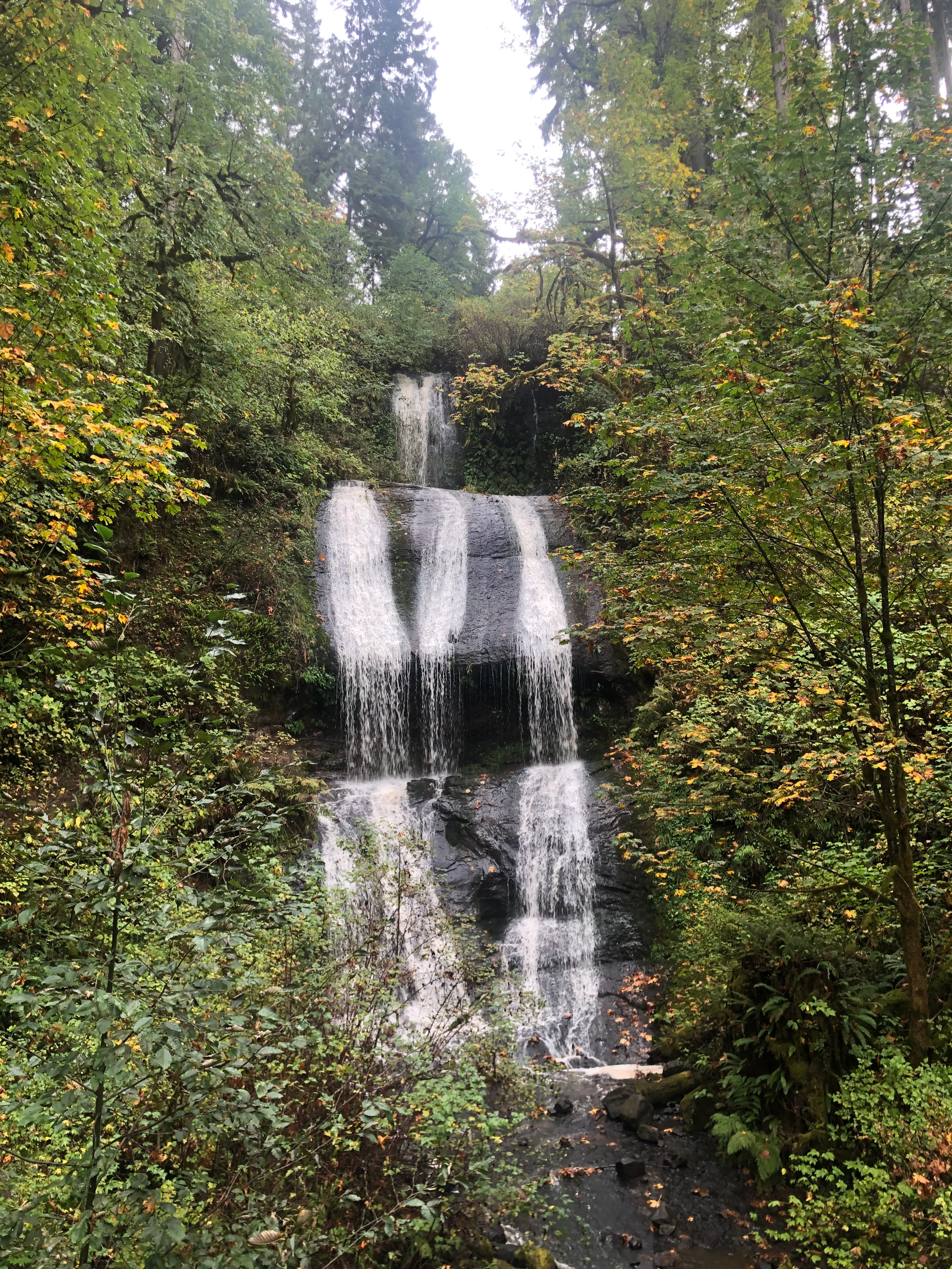 McDowell Creek County Park Loop