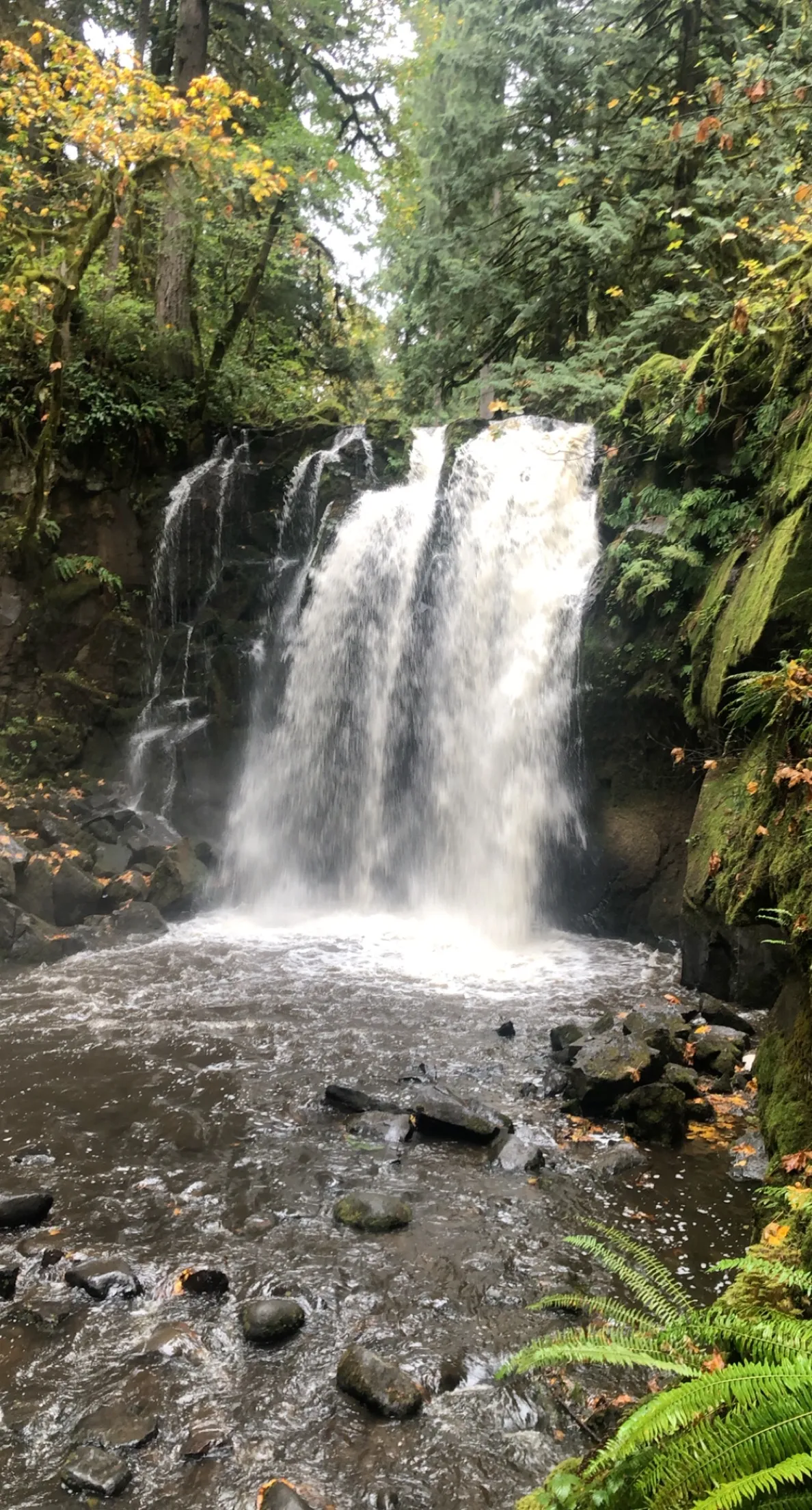 McDowell Creek County Park Loop