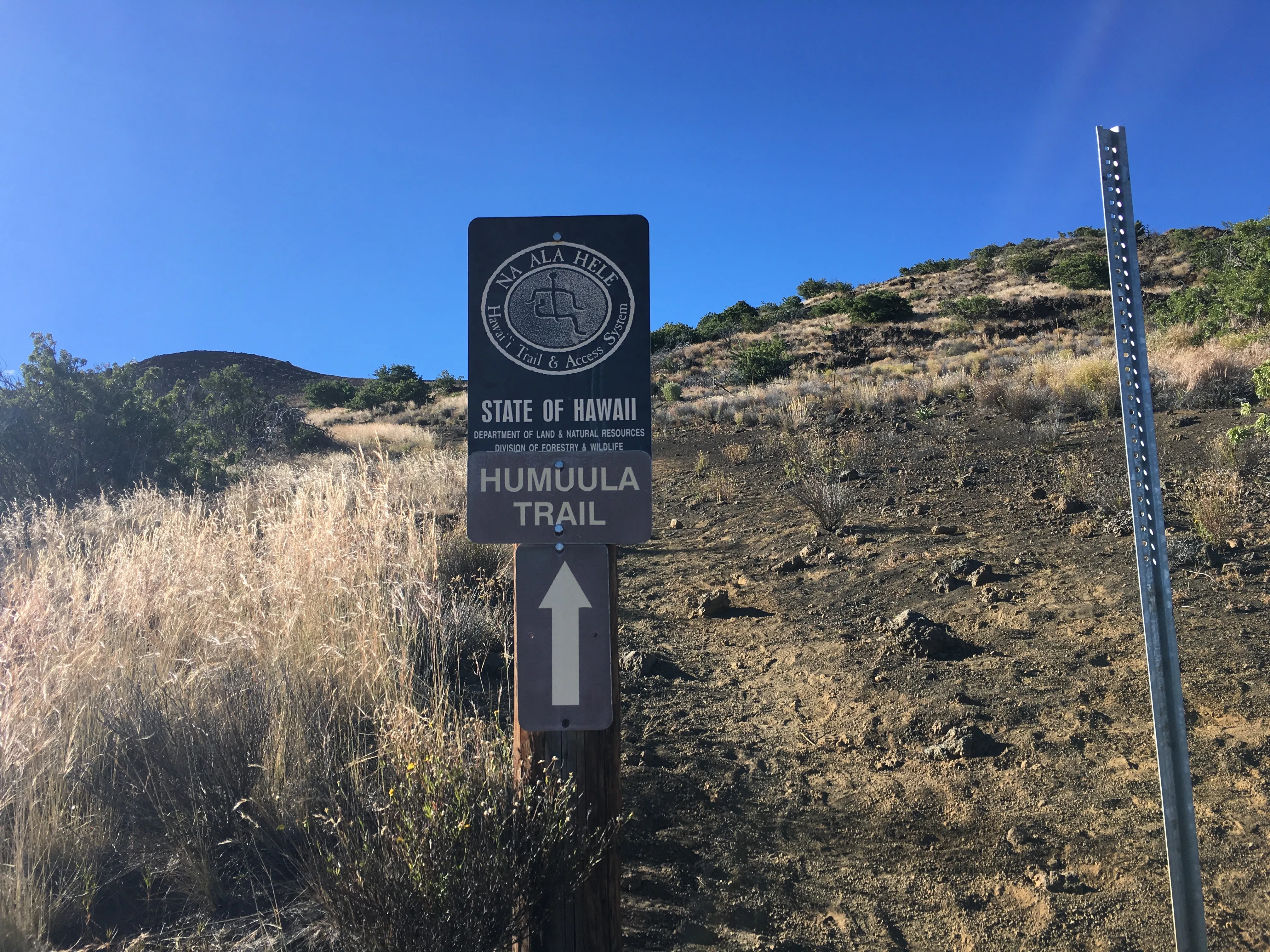 Hike Mauna Kea via Humuula Trail